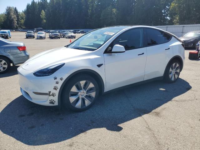 TESLA MODEL Y 2023 with VIN 7SAYGAEE4PF896424 - Photo from auction