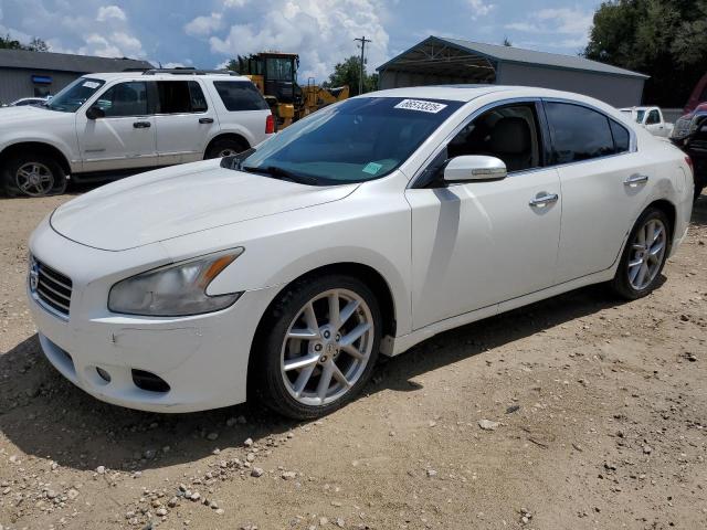 NISSAN MAXIMA S 2009 with VIN 1N4AA51E89C818151 - Photo from auction