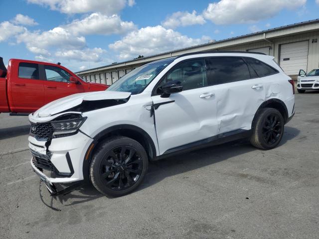 KIA SORENTO SX 2023 with VIN 5XYRKDLF1PG218445 - Photo from auction