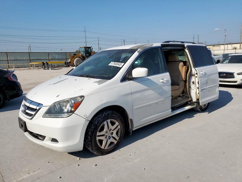 HONDA ODYSSEY EX 2007 with VIN 5FNRL38437B055299 - Photo from auction