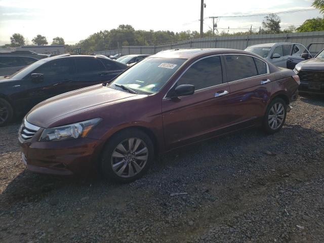 HONDA ACCORD EXL 2012 with VIN 1HGCP3F88CA039071 - Photo from auction