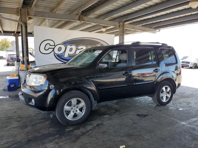 HONDA PILOT EXL 2011 with VIN 5FNYF4H62BB004217 - Photo from auction