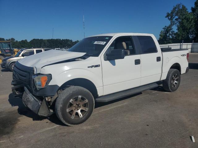 FORD F150 SUPER 2010 مع رقم تعريف المركبة 1FTEW1E89AFC57892 - صورة من المزاد