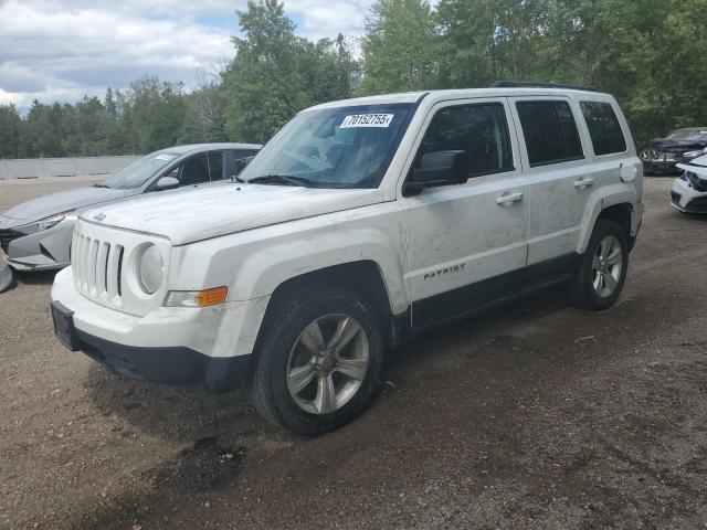 JEEP PATRIOT 2011 with VIN 1J4NF2GB3BD131971 - Photo from auction