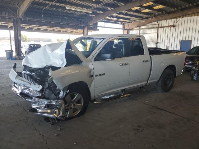 DODGE RAM 1500 2010 with VIN 1D7RB1GT4AS213259 - Photo from auction