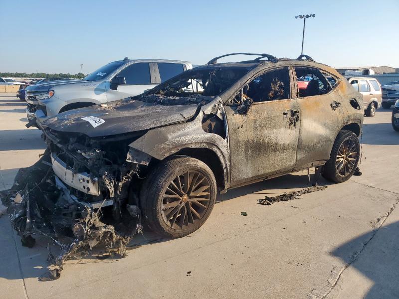LEXUS NX 350 PRE 2025 with VIN 2T2GGCEZ0SC069553 - Photo from auction