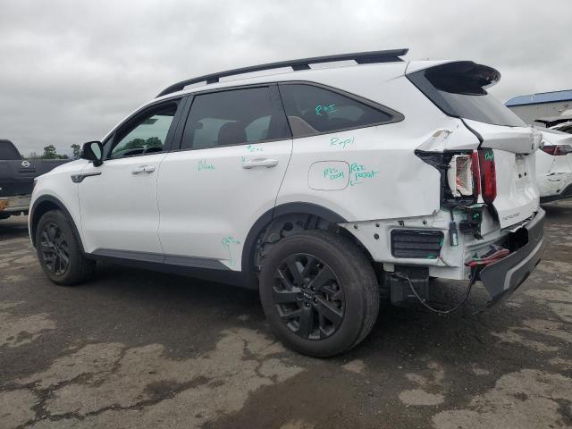 Photo 2 from auction – 2023 KIA SORENTO S with VIN 5XYRLDLC8PG225363