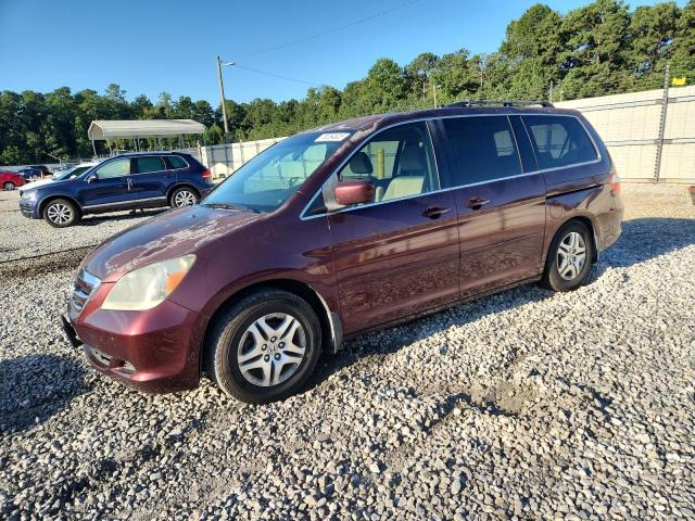 HONDA ODYSSEY EX 2007 with VIN 5FNRL38477B095000 - Photo from auction