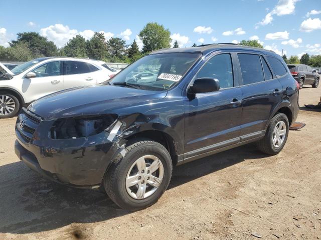 HYUNDAI SANTA FE G 2009 with VIN 5NMSG13D79H273894 - Photo from auction