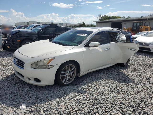 NISSAN MAXIMA S 2009 with VIN 1N4AA51E19C842310 - Photo from auction