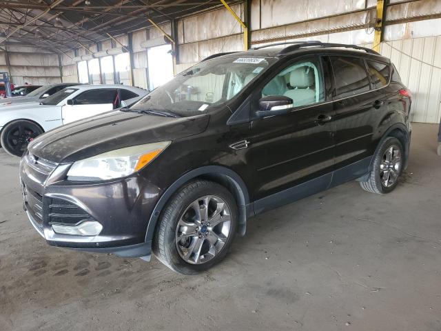 FORD ESCAPE SEL 2013 with VIN 1FMCU9H90DUA15875 - Photo from auction