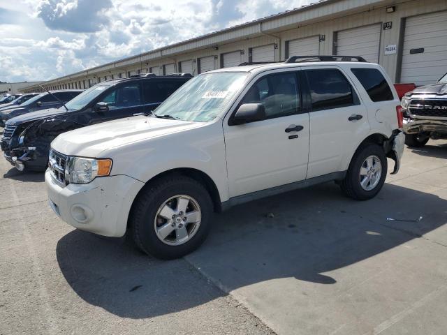 FORD ESCAPE XLT 2011 with VIN 1FMCU0D7XBKA61318 - Photo from auction