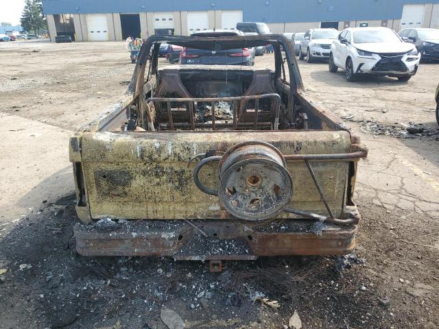 Photo 6 from auction – 1996 FORD BRONCO U10 with VIN 1FMEU15NXTLB85239
