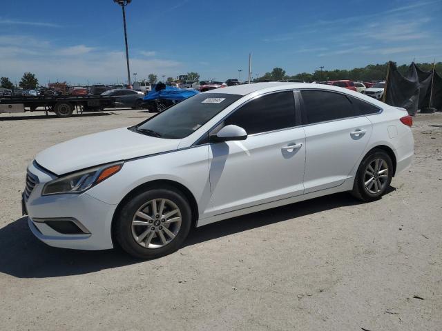 HYUNDAI SONATA SE 2016 with VIN 5NPE24AF3GH362377 - Photo from auction