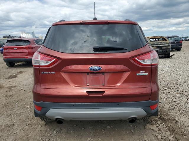 Photo 6 from auction – 2014 FORD ESCAPE SE with VIN 1FMCU0GX1EUB22754