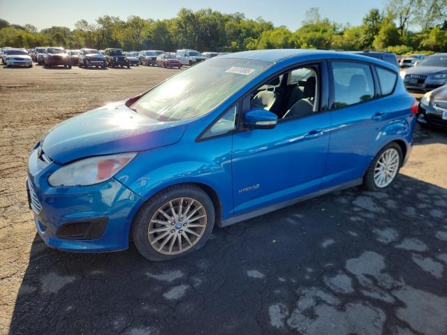 FORD C-MAX SE 2013 with VIN 1FADP5AU9DL506187 - Photo from auction