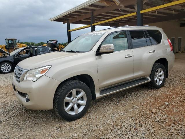LEXUS GX 460 2010 with VIN JTJBM7FX8A5000579 - Photo from auction
