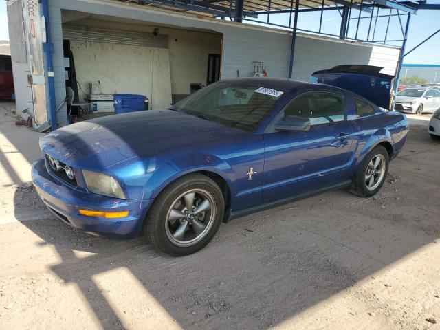 Photo 1 from auction – 2006 FORD MUSTANG with VIN 1ZVFT80N665136282