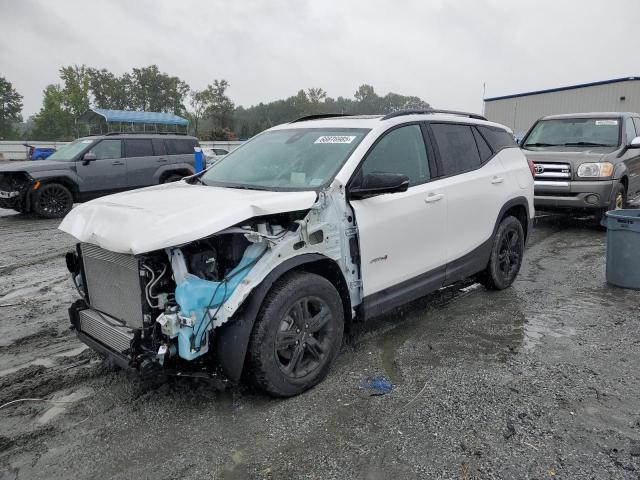 GMC TERRAIN AT 2024 with VIN 3GKALYEG1RL398615 - Photo from auction