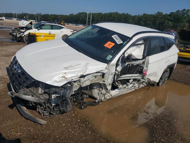 HYUNDAI TUCSON BLU 2023 with VIN KM8JBCA11PU101974 - Photo from auction