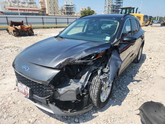 FORD ESCAPE SE 2020 with VIN 1FMCU0G61LUC04360 - Photo from auction