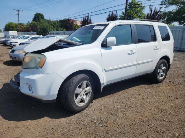 HONDA PILOT EXL 2009 with VIN 5FNYF48619B044685 - Photo from auction