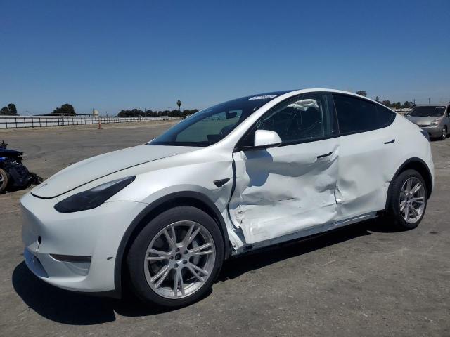 TESLA MODEL Y 2023 with VIN 7SAYGDEE4PF738828 - Photo from auction