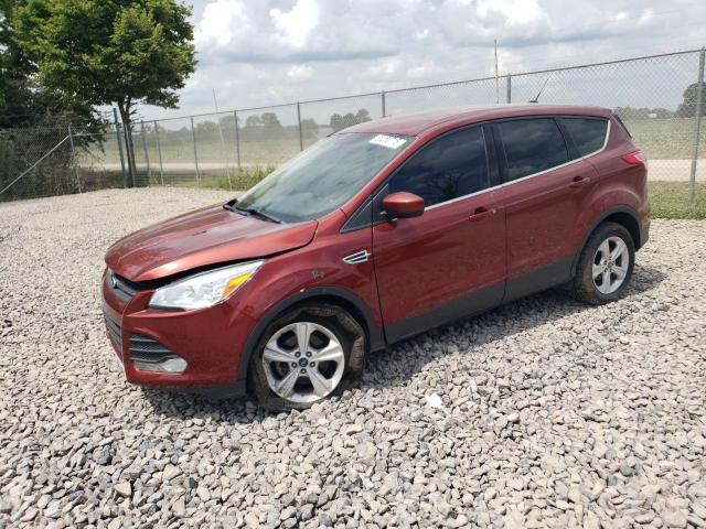 FORD ESCAPE SE 2014 with VIN 1FMCU0GX4EUB42884 - Photo from auction