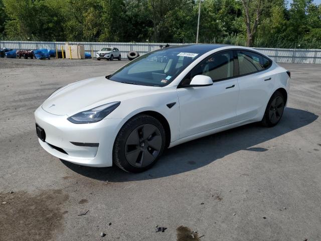 TESLA MODEL 3 2023 with VIN 5YJ3E1EA3PF568714 - Photo from auction