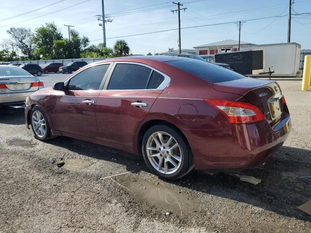 Photo 2 from auction – 2010 NISSAN MAXIMA S with VIN 1N4AA5AP1AC819499