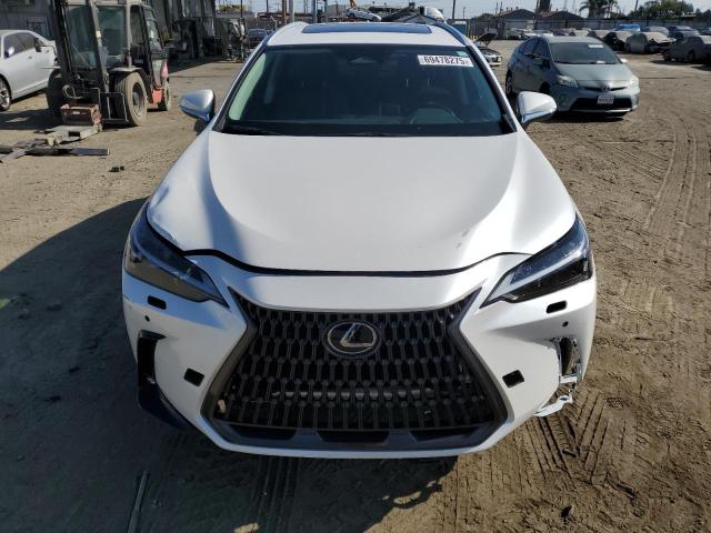 Photo 5 from auction – 2025 LEXUS NX 250 BAS with VIN 2T2ADCAZ1SC025730