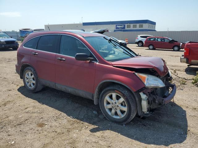 Photo 4 from auction – 2009 HONDA CR-V EX with VIN JHLRE48519C005402