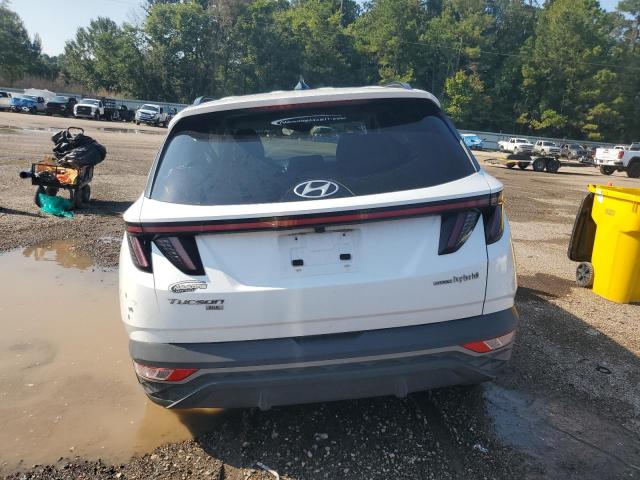 Photo 6 from auction – 2023 HYUNDAI TUCSON BLU with VIN KM8JBCA11PU101974