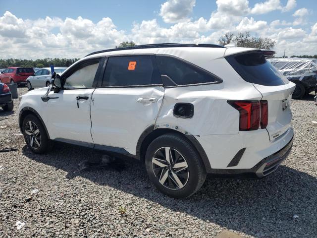 Photo 2 from auction – 2023 KIA SORENTO S with VIN 5XYRL4LC2PG241607