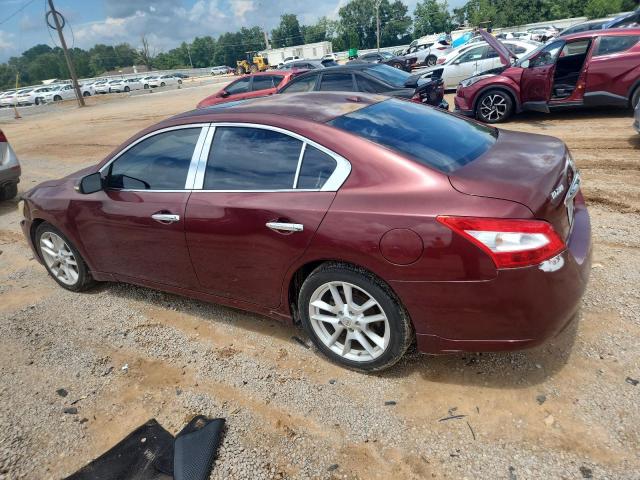 Photo 2 from auction – 2011 NISSAN MAXIMA S with VIN 1N4AA5AP0BC837753