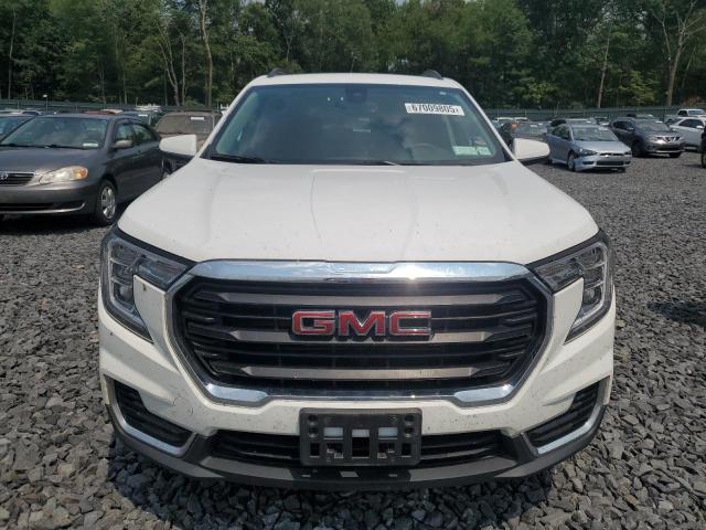 Photo 5 from auction – 2024 GMC TERRAIN SL with VIN 3GKALTEG0RL332883