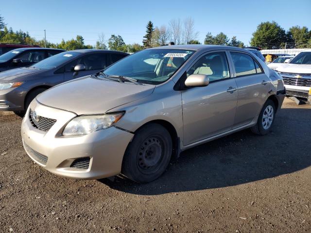 TOYOTA COROLLA BA 2009 with VIN 2T1BU40E29C184845 - Photo from auction