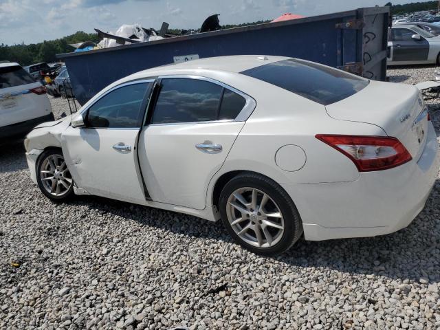 Photo 2 from auction – 2010 NISSAN MAXIMA S with VIN 1N4AA5AP9AC818911