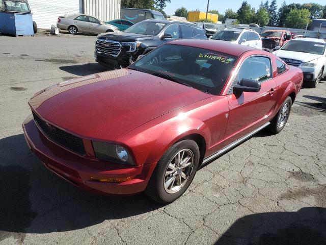 Photo 1 from auction – 2007 FORD MUSTANG with VIN 1ZVHT80N575288595
