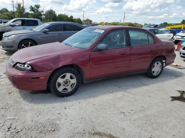CHEVROLET CLASSIC 2004 مع رقم تعريف المركبة 1G1ND52F24M567147 - صورة من المزاد