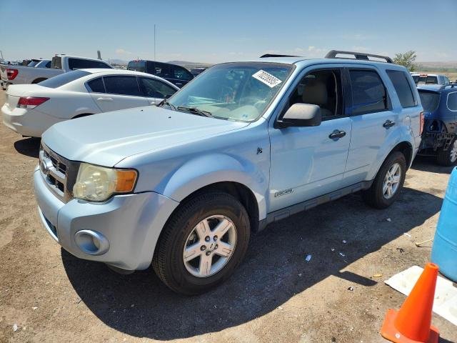 FORD ESCAPE HEV 2008 with VIN 1FMCU49H28KC66441 - Photo from auction