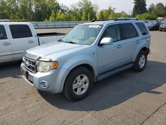 FORD ESCAPE HEV 2008 with VIN 1FMCU49H58KA73099 - Photo from auction