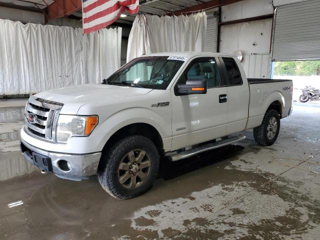 FORD F150 SUPER 2013 with VIN 1FTFX1ET0DFD29797 - Photo from auction
