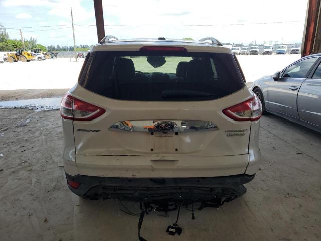 Photo 6 from auction – 2014 FORD ESCAPE TIT with VIN 1FMCU0J99EUE48912
