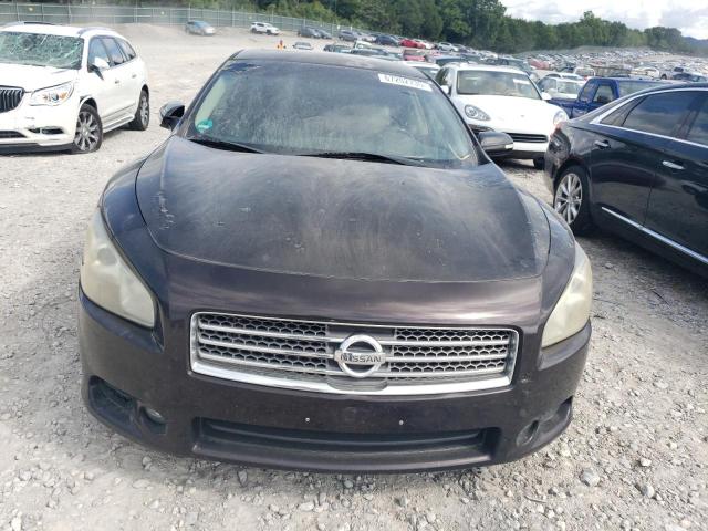 Photo 5 from auction – 2010 NISSAN MAXIMA S with VIN 1N4AA5AP3AC839558