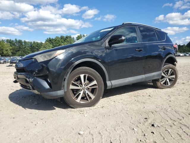 TOYOTA RAV4 XLE 2016 with VIN 2T3WFREV5GW242516 - Photo from auction