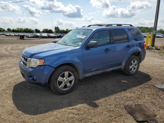 FORD ESCAPE XLT 2010 with VIN 1FMCU0D71AKB72239 - Photo from auction