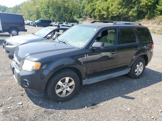 FORD ESCAPE LIM 2011 with VIN 1FMCU9EG3BKC08081 - Photo from auction