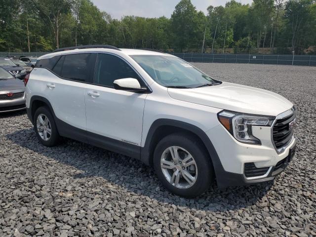 Photo 4 from auction – 2024 GMC TERRAIN SL with VIN 3GKALTEG0RL332883
