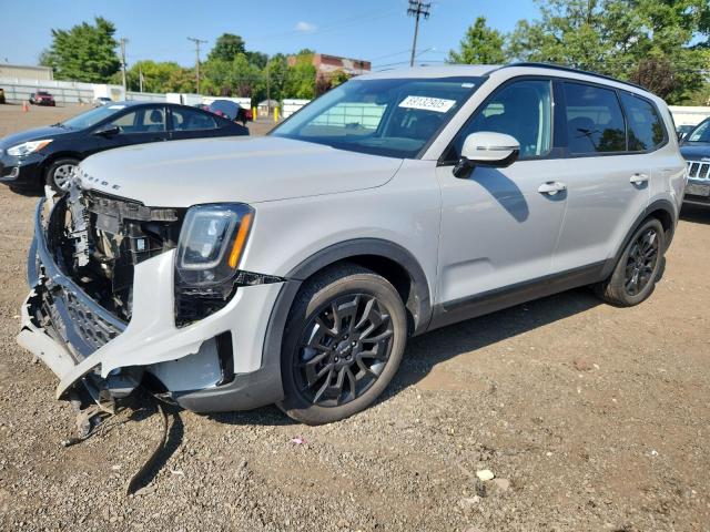 KIA TELLURIDE 2022 with VIN 5XYP5DHC3NG319688 - Photo from auction